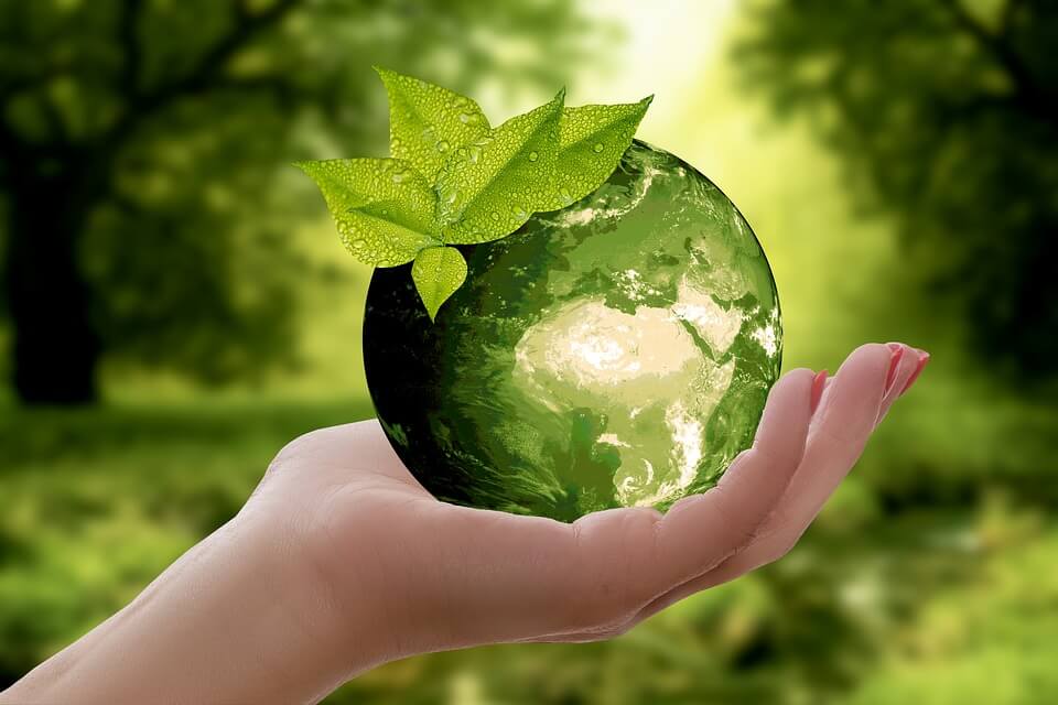 GLOBE IN HANDPIC 3289812